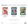 2024/25 Panini Hoops Basketball Hobby 20 Box Case